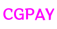 福建省泉州市CGPAY智能游戏有限公司